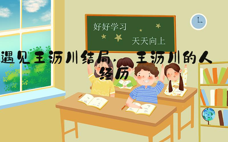 遇见王沥川结局  王沥川的人生经历 